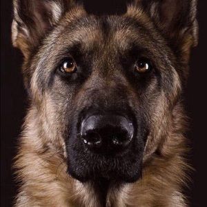 Meet your Posher, Keith